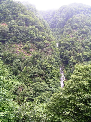 8月の七反の滝.JPG