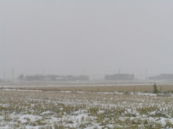 雪の斐川平野.JPG