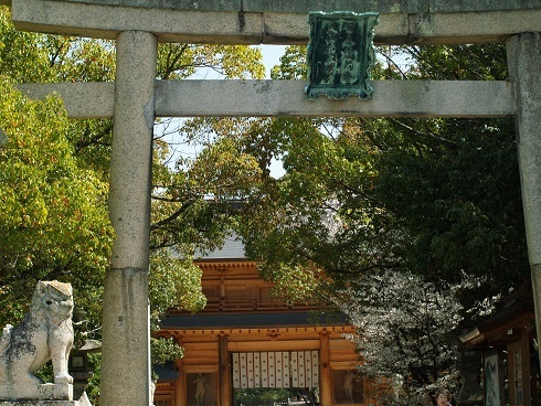 大山祇神社桜.JPG